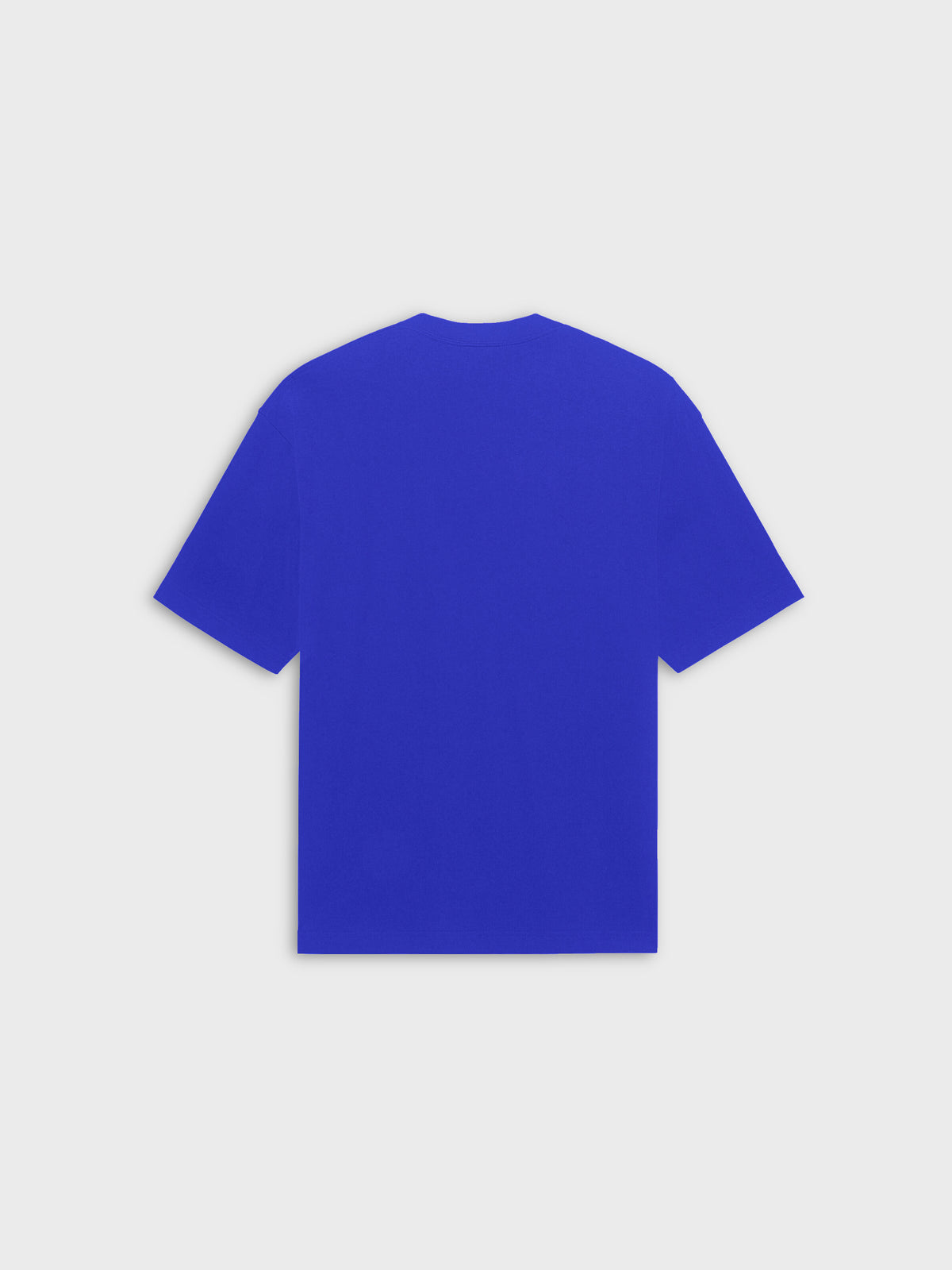 Blue Pray For Job Blue T-Shirt